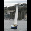 IMG_6738
3/21/2007 2:58:27 PM